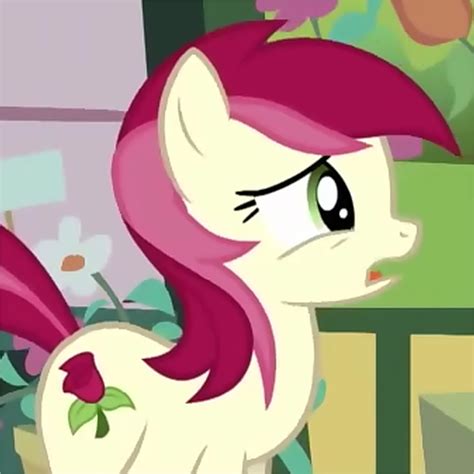 We did not find results for: Roseluck, Lily or Daisy? Poll Results - My Little Pony ...