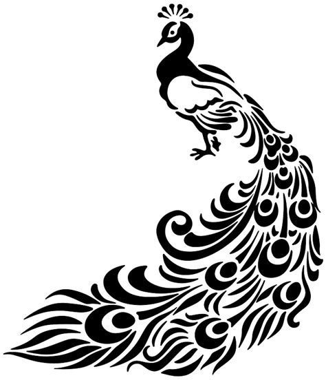 Peacock Black And White Clipart Free Download Transparent PNG Creazilla