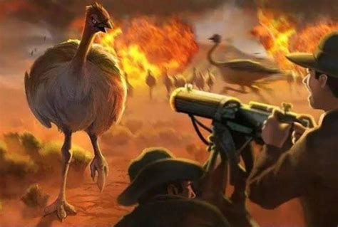 Never Forget The Heroes Of The Great Emu War Remuwarflashbacks