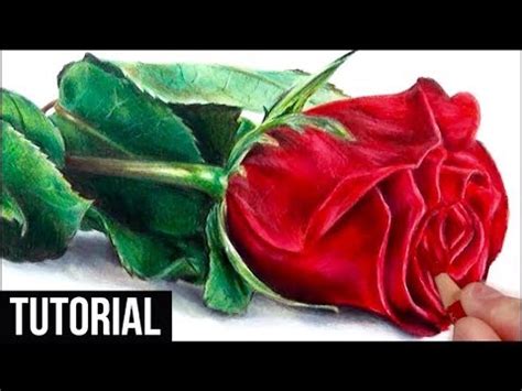 How to Draw a Realistic Rose in Coloured Pencil | Drawing ... This tutorial aims to capture the beauty and essence of a rose in its simple and.
