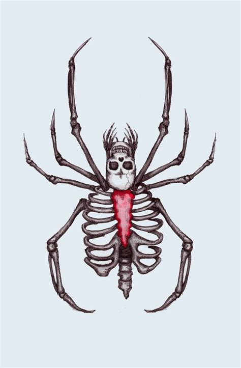 The easiest way to tell if a spider is a black widow is to look for the shiny black coloring and distinctive crimson markings on the abdomen of the females. Spider Skeleton Fine Art Print | Black widow spider tattoo ...