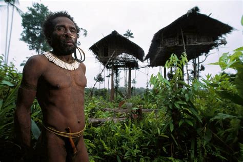Korowai Tree House West Papua Indonesia Photo Gallery Funny Buildings
