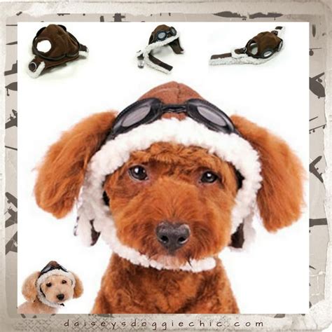 Aviator Hat With Goggles And Themed Charm For Dogs Dog Hat Dog