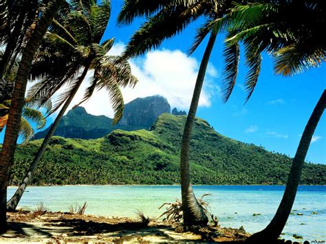 Piękna obraz na pulpit Wyspy Przyroda Kraje Tropikalne Najlepsze
