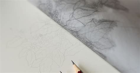 Eunike Nugroho Tips How To Transfer A Drawing Using Tracing Paper