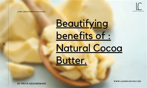 Beautifying Benefits Of Natural Cocoa Butter Learn Canyon