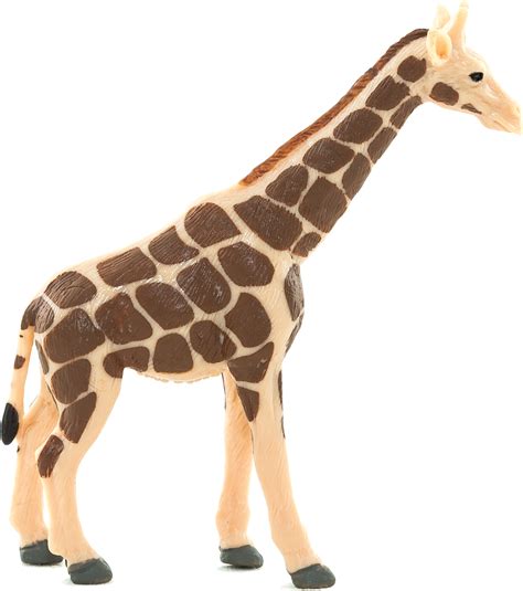 Northern Giraffe Transparency And Translucency Animal Giraffe Png