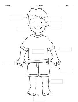 The students of today need understanding, so, you cannot teach a topic like this without a body diagram template. Pin on body
