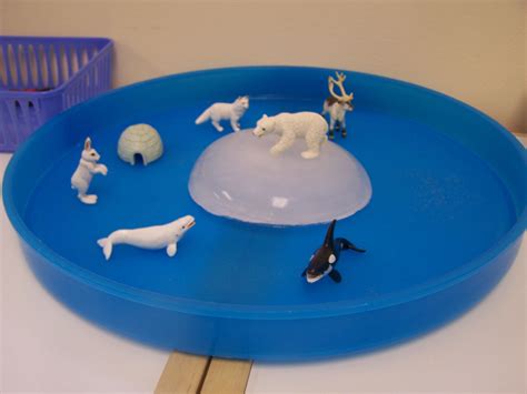 Arctic Animals On An Iceberg Montessori Science Sensory Activities