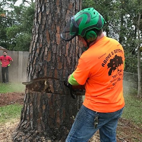 🌳we Are Skilled In All Areas Of Trimming Pruning And Removal And