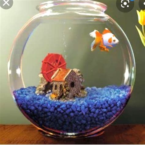 Tentu saja kumpulan tema acara yang menarik memang telah banyak dicari oleh orang di internet. Aquarium Bulat Unik : Gojek Aquarium Bulat 3 5lt Fish Bowl ...