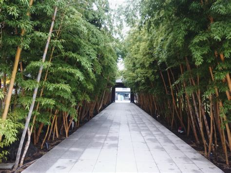 Check spelling or type a new query. driveway in japanese garden - Google Search | Japanese ...