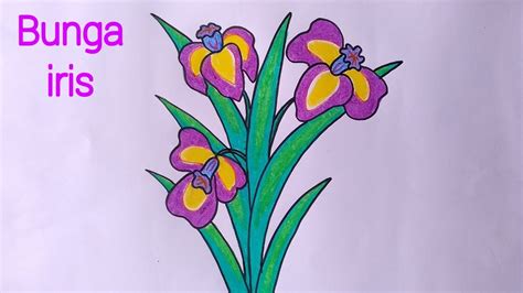 Cara Menggambar Bunga Yang Mudah Menggambar Bunga Iris Youtube