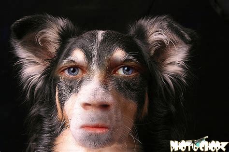 Dogs With Human Faces