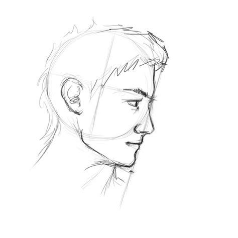 Álbumes 91 Foto How To Draw A Side Profile Lleno