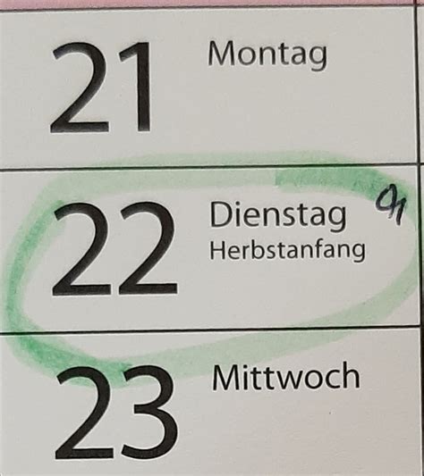 Lesen sie jetzt „kontaktverbot soll über ostern verlängert werden. Verlängern sich die Winterferien wegen Corona? - SoWieSo