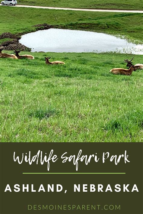 Wildlife Safari Park And Hiking In Nebraska Safari Park Wildlife