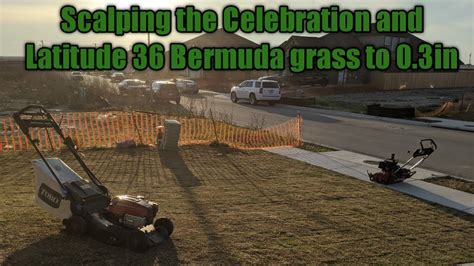Scalping The Celebration And Latitude 36 Bermuda Grass To 03 In Youtube