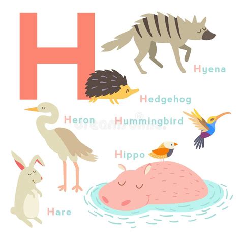 H Letter Animals Set English Alphabet Stock Vector Illustration Of