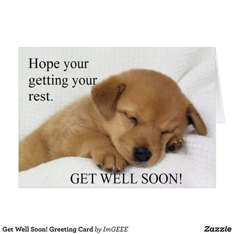 Get Well Soon Greeting Card Baby Animals Pictures