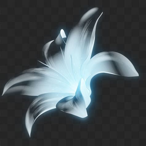 6 Png Glowing Flowers Graphics Images With Transparent Background