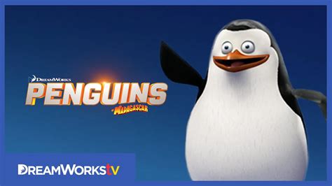 Private is a main character in the madagascar franchise. Meet Private | PENGUINS OF MADAGASCAR - YouTube