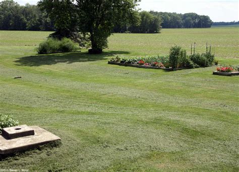 Check spelling or type a new query. Mulching with Grass Clippings in the Garden
