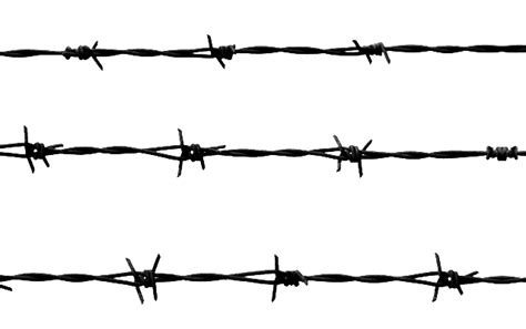 Barbed Wire Transparent Png Mauriciocatolico