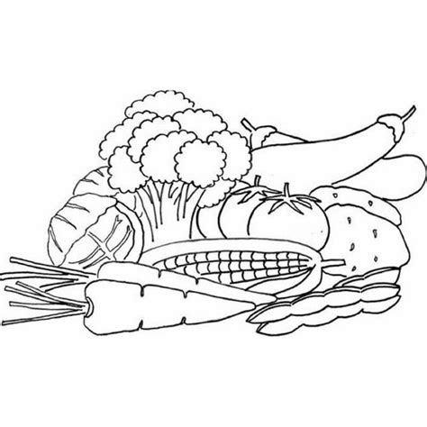 Detail Gambar Untuk Diwarnai Anak Tk Tentang Sayuran Koleksi Nomer 29