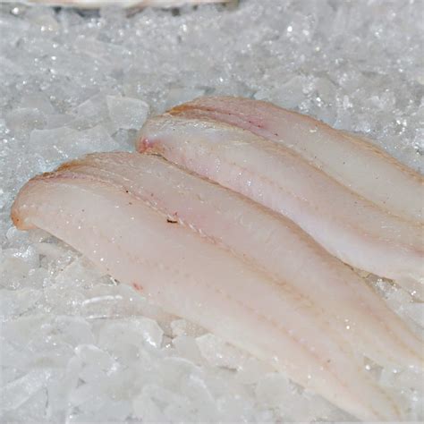 Fresh Haddock Fillets Glasgows Fish Plaice Uk Delivery