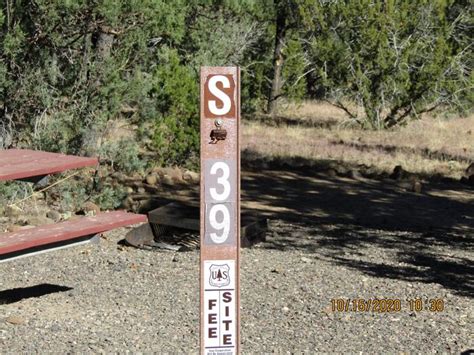 Site 39 Pinon Campground Quemado Lake