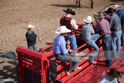 Bucking Chute Photos And Premium High Res Pictures Getty Images