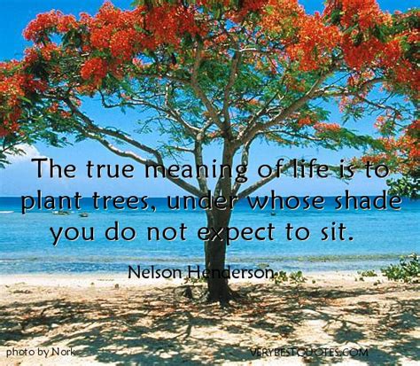 Meaning of life Quotes. QuotesGram The man or woman who asks for no.