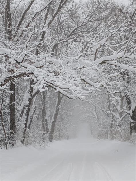 Winter Wonderland Michigan