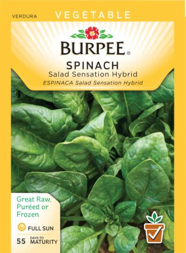 Burpee Salad Sensation Hybrid Spinach Seeds 1 Count Bakers