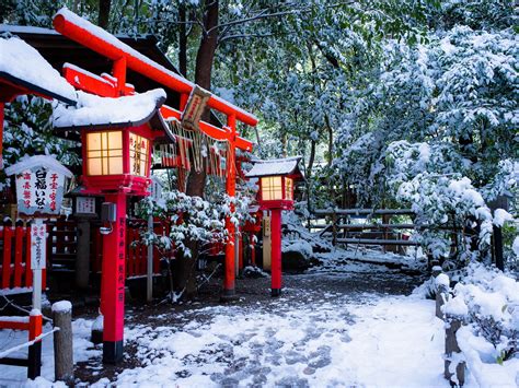 Wallpaper Shrine Torii Gate Kyoto Japan Winter Snow Trees