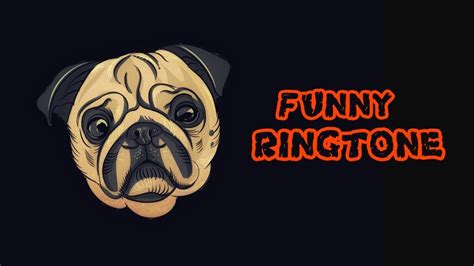 Top 5 Best Funny Ringtone For All 2019 🎶🎶🎶 Youtube