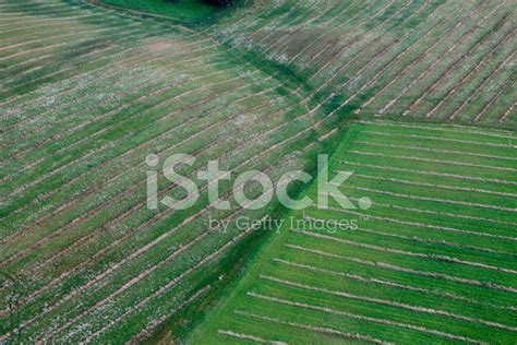 Aerial Photo Of Farmland Stock Photo Royalty Free Freeimages