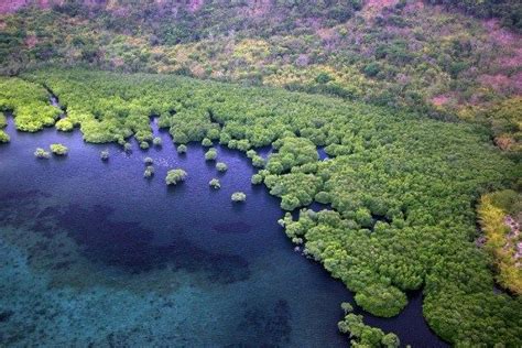 Palawan Island From Above Palawan Philippines Blue