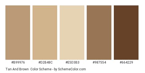 Tan And Brown Color Scheme Brown