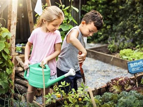 Best Kids Gardening Spots Including Childrens Gardens