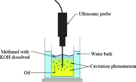 Schematic Representation Of The Reaction Using Ultrasonic Probe