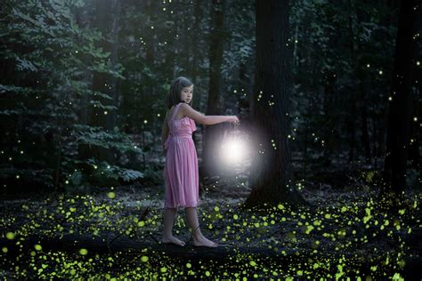 200 Magic Firefly Photo Overlays Fireflies Mystical Forest Fairy