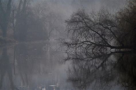 Misty Foggy Morning Mysterious Moody Sunrise On The Lake Stock Photo