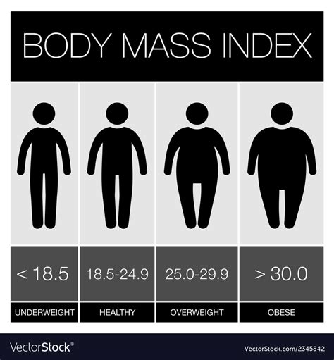 Body Mass Index Infographic Icons Royalty Free Vector Image