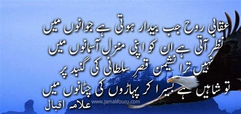Allama Iqbal Poetry On Shaheen Iqbal Poetry Shaheen Urdu Beautiful