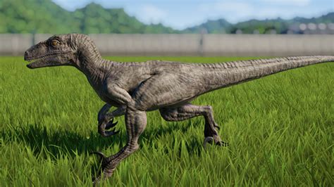 Velociraptor Jurassic World Evolution Wiki Fandom Velociraptor Jurassic Park World