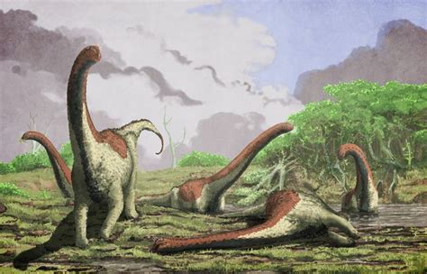 Rukwatitan Bisepultus A New Titanosaurian Sauropod From The Middle