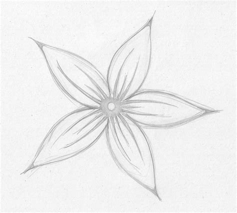 Simple Pencil Drawing Pictures Of Flowers How To Draw