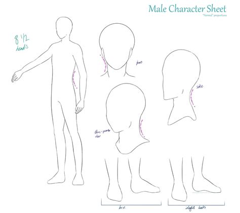 Character Sheet Base Maletypical Bodytype By Heiwauchiha On Deviantart